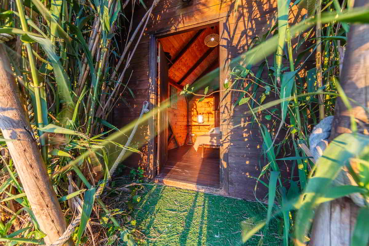 Entrada de la cabaña del Chalet La Ahumada, construida en madera y rodeada de cañas, con interior iluminado por la luz cálida del atardecer.