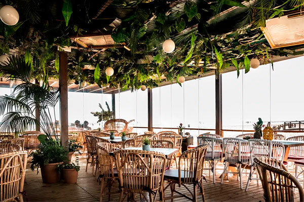 Terraza interior decorada con plantas colgantes y mobiliario de mimbre con vistas al exterior.