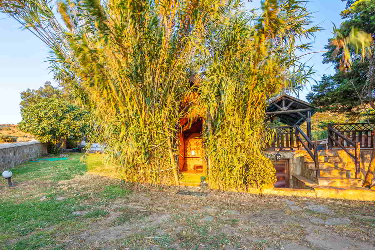 Entrada principal de la cabaña del Chalet La Ahumada, rodeada de cañas y vegetación frondosa, iluminada por la luz cálida del atardecer.