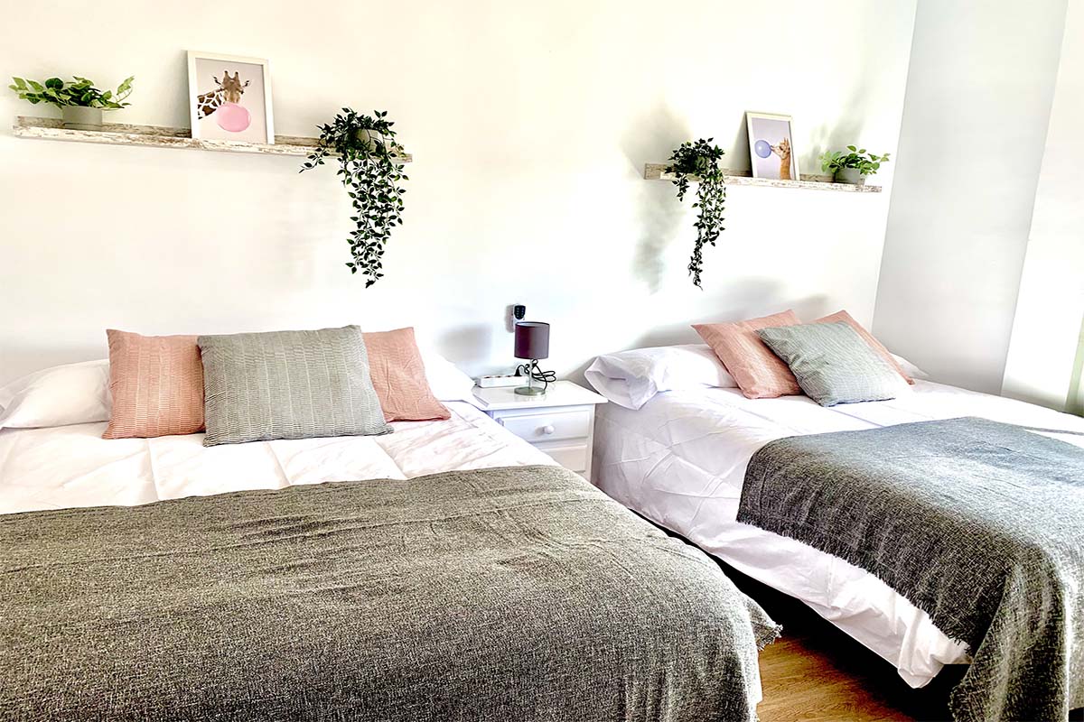Habitación con dos camas, cojines decorativos y estanterías con plantas verdes.
