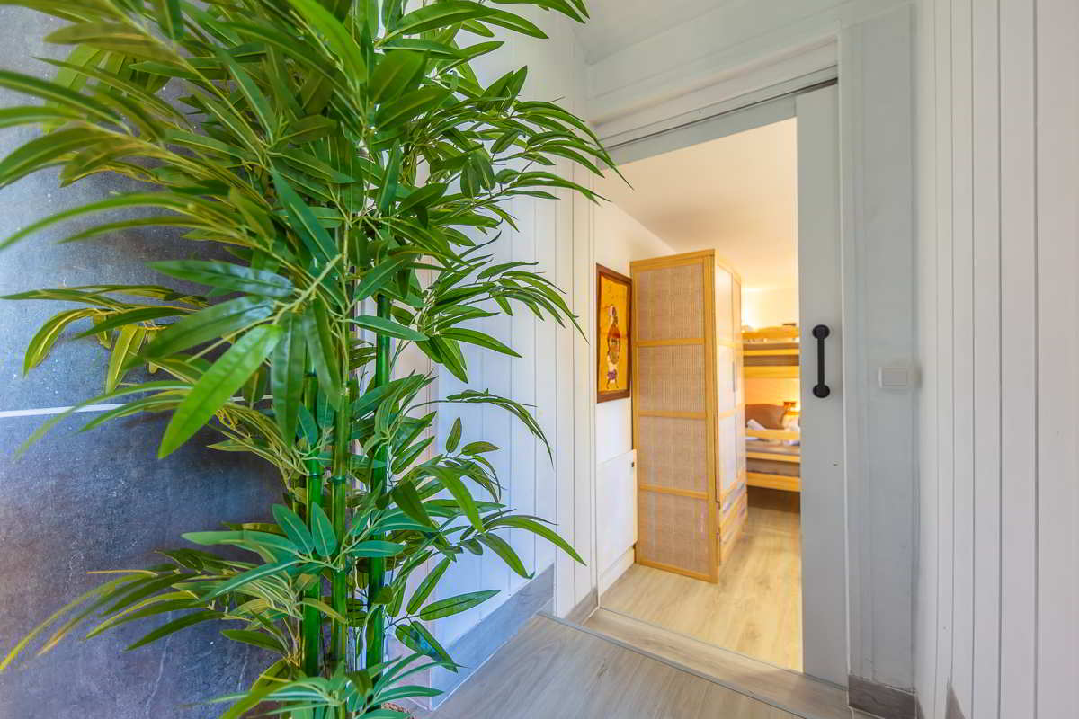 Vista cercana de una planta decorativa junto a una pared de pizarra, con una puerta corredera blanca que da paso a un dormitorio con litera de madera y biombo trenzado, en un ambiente cálido y acogedor.