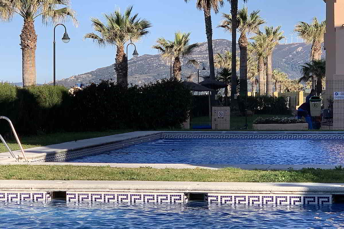 Piscina frente a la playa en Los Lances 2, con vistas al mar y una palmera en primer plano.