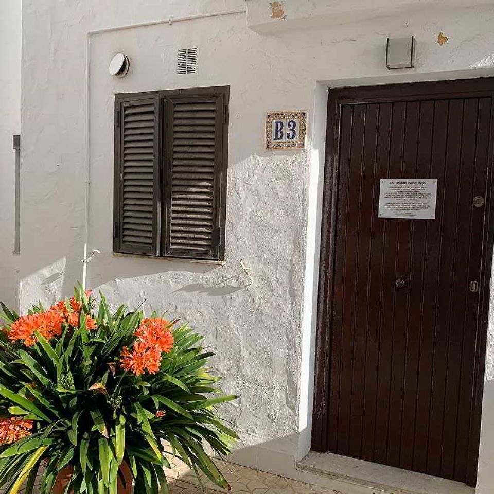 Entrada con puerta de madera, planta con flores naranjas y fachada blanca en la urbanización Las Cañas.