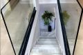 Escaleras con barandillas de cristal y decoración con planta en el descanso inferior.