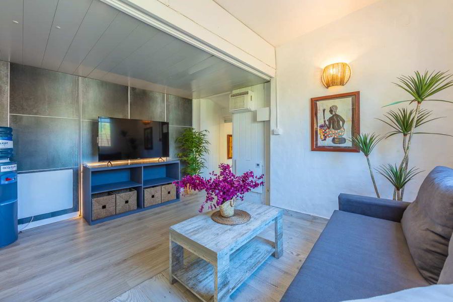 Salón con sofá gris, mesa de centro rústica con flores fucsias, mueble de televisión azul con cestas de mimbre, pantalla plana, pared revestida de azulejos oscuros, dispensador de agua, planta decorativa y cuadro étnico iluminado en la pared blanca.