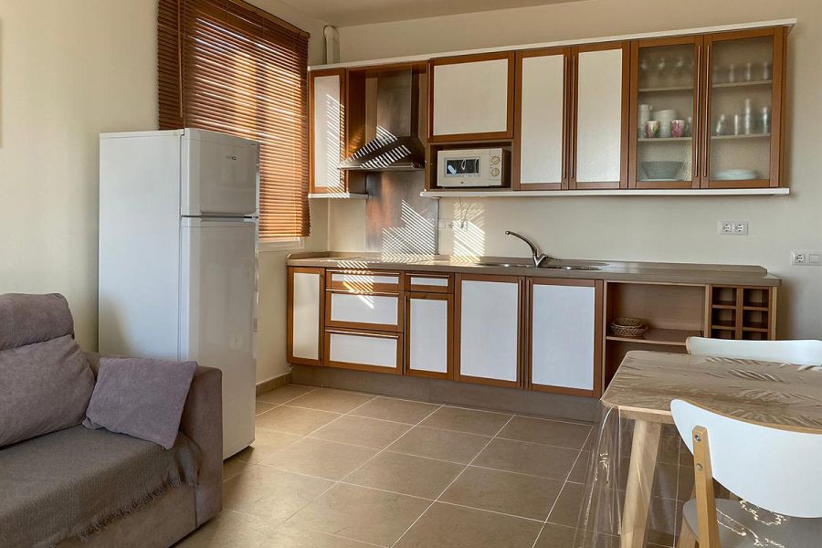 Cocina abierta con electrodomésticos y salón integrado con sofá.