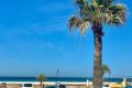 Playa con palmera, coches estacionados y vistas al mar en la urbanización Las Cañas.