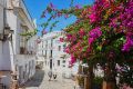 Calle empedrada en el casco histórico de Tarifa con casas blancas y flores coloridas.